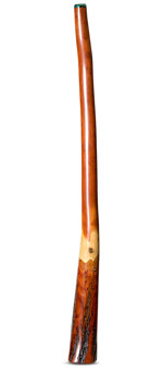 Wix Stix Didgeridoo (WS336)